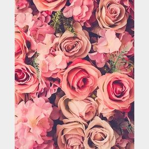 Meet your Posher, Xiomara